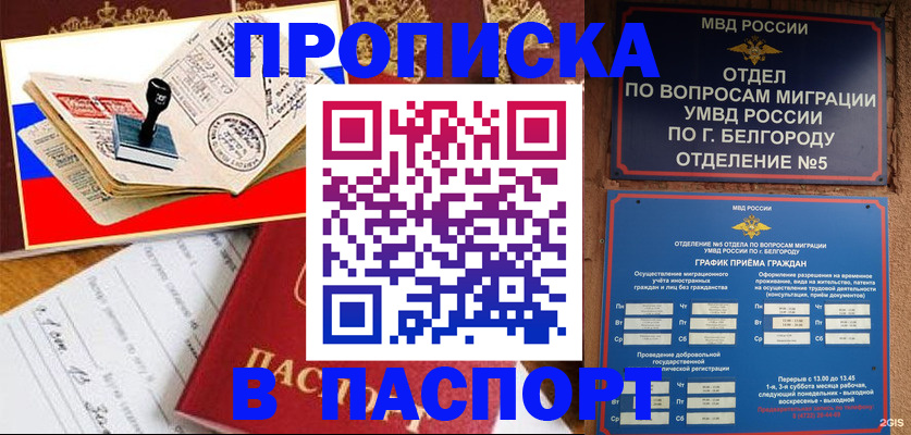 купить прописку в Курганской области